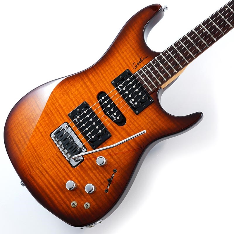 Godin 05 Freeway SA Synth-Accesの画像